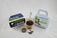 Estuche del kit de plantación