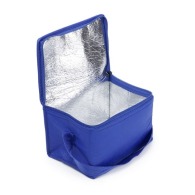 Bolsa nevera pequeña de tela no tejida Bolsa nevera pequeña de tela no tejida
