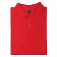 Polo bartel color picture