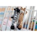 Lorenzo Zebra Plush regalo de empresa