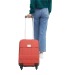Trolley-bordcase, Carro con ruedas publicidad