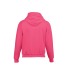 Sudadera con capucha para niños, ropa infantil publicidad