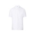 Chemise de cuisine manches courtes, Chemise manches courtes publicidad