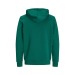 Sudadera con capucha de algodón orgánico 300 g, varios textiles ecológicos, reciclados, sostenibles u orgánicos publicidad