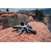Pince multifonction Gear X, coupe-ceinture publicidad