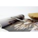 Waterman Graduate biros, Pluma Waterman publicidad