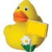 Canard voyage - MBW, canard publicidad