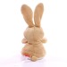 Peluche lapin - MBW, lapin publicidad