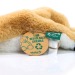 Miniatura del producto Felpa de zorro - MBW 4