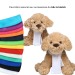 Peluche perro S regalo de empresa