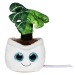 Peluche monstera regalo de empresa