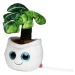 Peluche monstera regalo de empresa