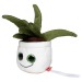 Peluche aloe vera regalo de empresa