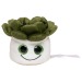 Peluche succulent regalo de empresa