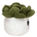 Peluche succulent, peluche publicidad