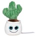Peluche cactus regalo de empresa