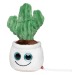Peluche cactus regalo de empresa