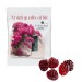 Gommes de fruits 80 % moins de sucre VEGAN, sachet conventionnel regalo de empresa
