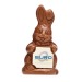 Lapin de Pâques en chocolat 80g, lapin en chocolat publicidad