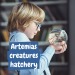 Kit Mascotas Jurásicas I. Juego educativo para niños regalo de empresa