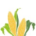 Equerre bio regalo de empresa