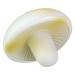 Champignon anti-stress regalo de empresa