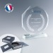 Miniatura del producto Trofeo octogonal 0