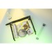 Neceser SHARON, bolsa transparente publicidad
