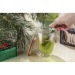 Infusor de té CEYLON, infusor de té publicidad