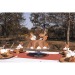 SET DE 6 DECORATIONS WOODLAND POUR GATEAUX, écureuil publicidad