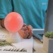 Mr Bio Lamp, la lámpara de escritorio que combina lo útil con lo agradable regalo de empresa
