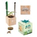 Pot cube boisde bureau en boite star-box - Bulbes de trèfle à 4 feuilles, trèfle à 4 feuilles publicidad