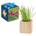Maxi cubo de madera para maceta en estuche de estrella - Mezcla de flores de verano regalo de empresa