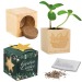 Maxi cubo de madera para maceta en estuche de estrella - Mezcla de flores de verano regalo de empresa