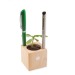 Pot cube bois de bureau - Bulbes de trèfle à 4 feuilles regalo de empresa