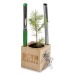 Pot cube bois de bureau - Bulbes de trèfle à 4 feuilles, trèfle à 4 feuilles publicidad