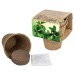 Kit de culture - Bulbes de trèfle à 4 feuilles regalo de empresa