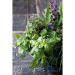 Mini-tonneau en bois - Mélange d'herbes aromatiques, tonneau publicidad