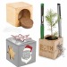 Pot cube boisde bureau en boite star-box - Epicéa, sapin de Noël publicidad