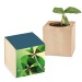 Pot cube - Bulbes de trèfle à 4 feuilles regalo de empresa
