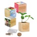 Pot cube - Bulbes de trèfle à 4 feuilles regalo de empresa
