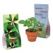 Mini pot terre cuite sous pochette - Bulbes de trèfle à 4 feuilles regalo de empresa