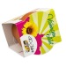 Mini pot terre cuite, fourreau complet- Bulbes de trèfle à 4 feuilles regalo de empresa