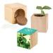 Pot cube bois maxi - Bulbes de trèfle à 4 feuilles regalo de empresa