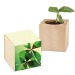 Pot cube - Bulbes de trèfle à 4 feuilles regalo de empresa