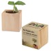 Pot cube - Bulbes de trèfle à 4 feuilles regalo de empresa