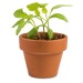 Placer en una caja - con set de plantación, mini maceta de terracota, vela huevo, mini bote de mermelada, conejito de chocolate, vela publicidad