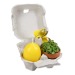 Placer en una caja - con mini juego de plantación en maceta de terracota, vela huevo, tartera conejo... regalo de empresa