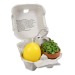 Le plaisir en boîte - avec set de plantation mini-pot en terre cuite, bougie ?uf, moule à gâteau ?lapin? regalo de empresa