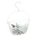 Pince linge x24 panier, transparent regalo de empresa